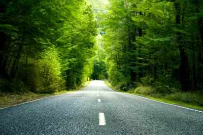 Državna cesta z drevesi ob strani