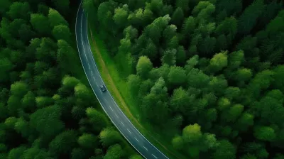 Countryside road passing through the green forrest