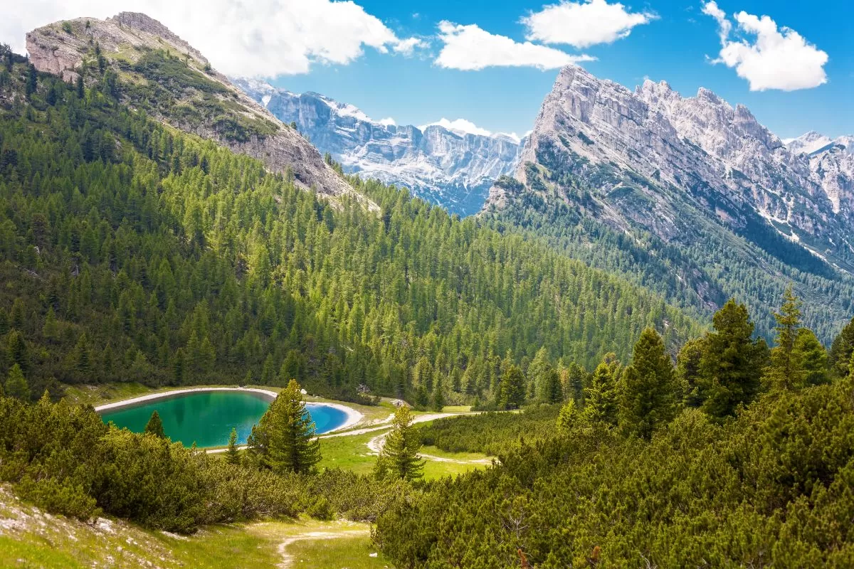 Pins, montagnes contre le ciel et un lac au milieu